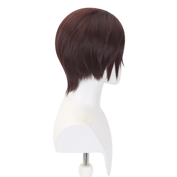 Wind Breaker Hayato Suo Cosplay Wigs Costume Accessories